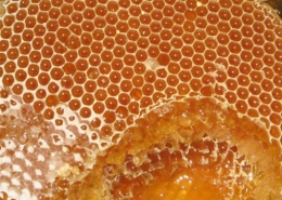 نکاتی که قبل از خرید عسل باید بدانید